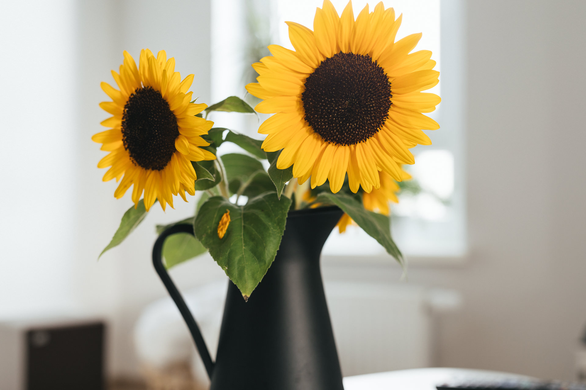 Foto einer Sonnenblume in einer Vase