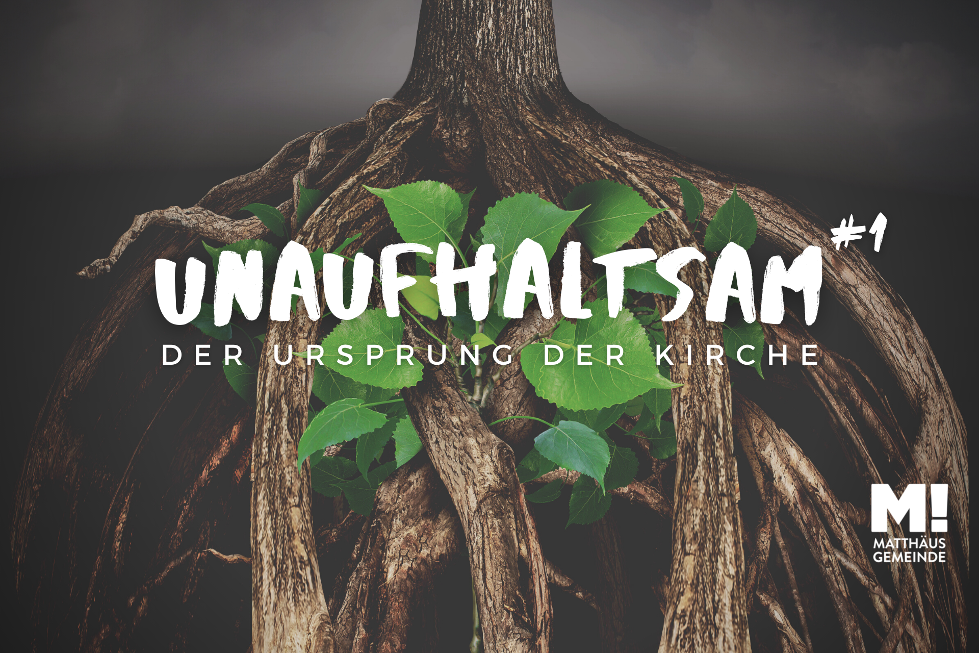 Unaufhaltsam #1 – Ursprung der Kirche