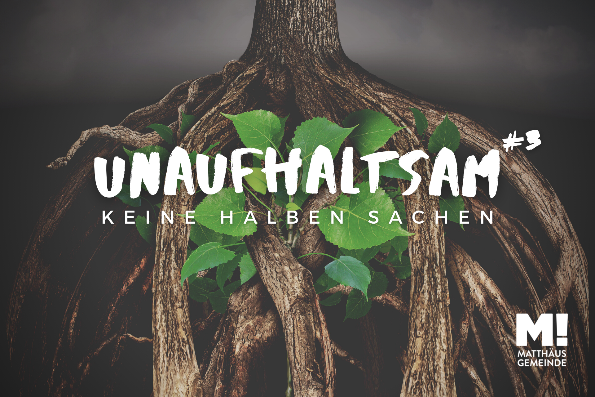 Unaufhaltsam #3 Keine halben Sachen