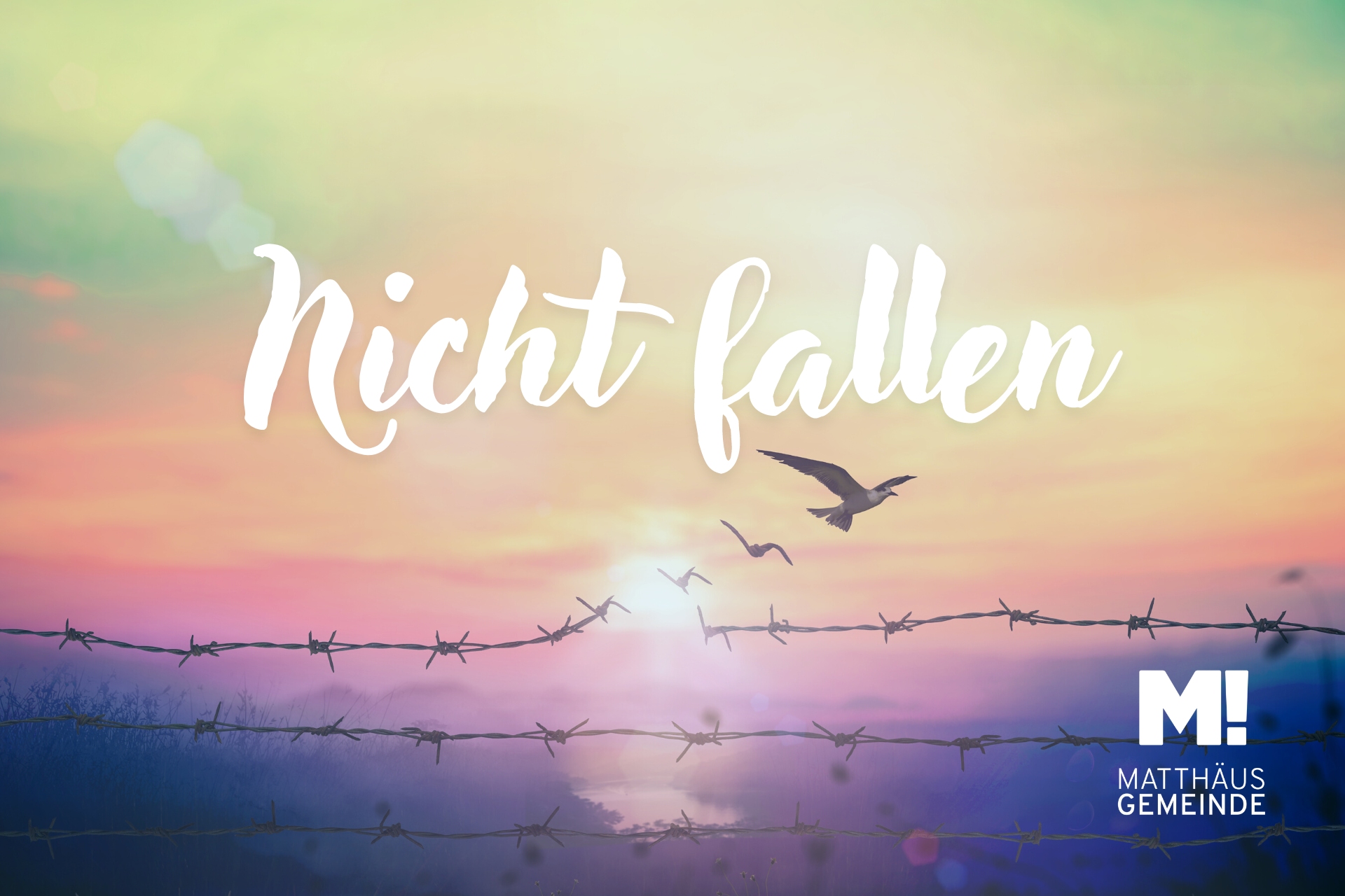 Frei sein #2 | Nicht fallen