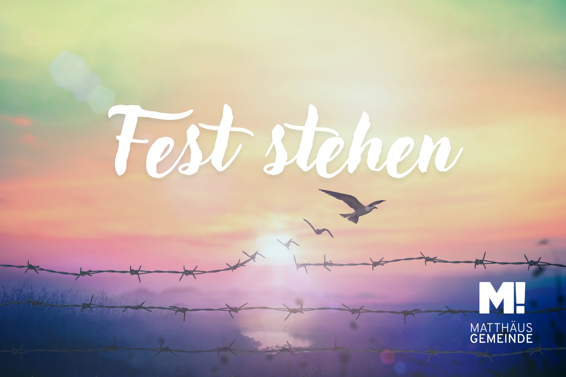 Frei sein | #1 Fest stehen