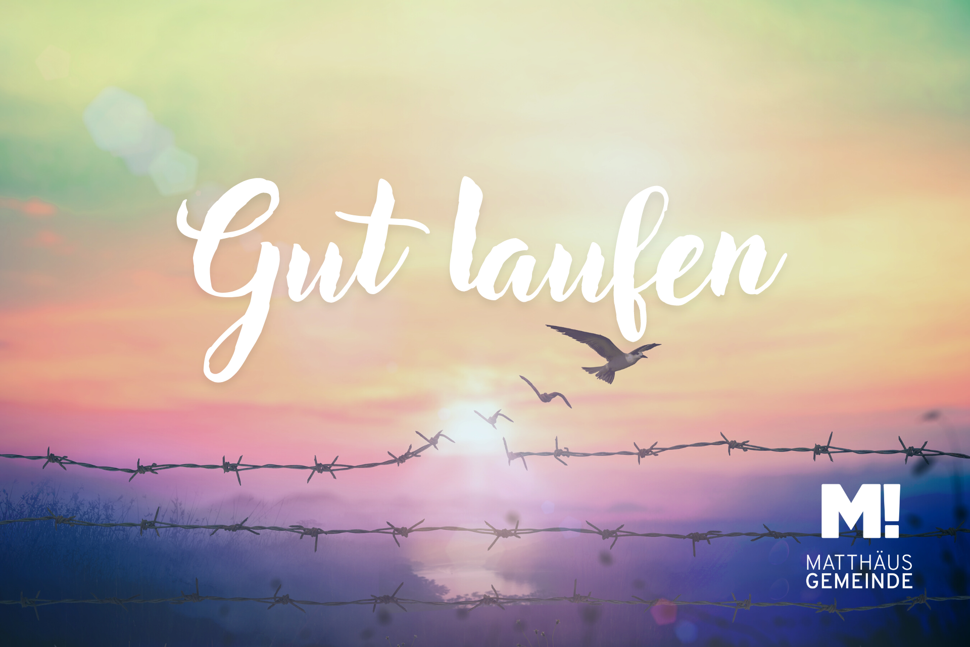 Frei sein #3 | Gut laufen