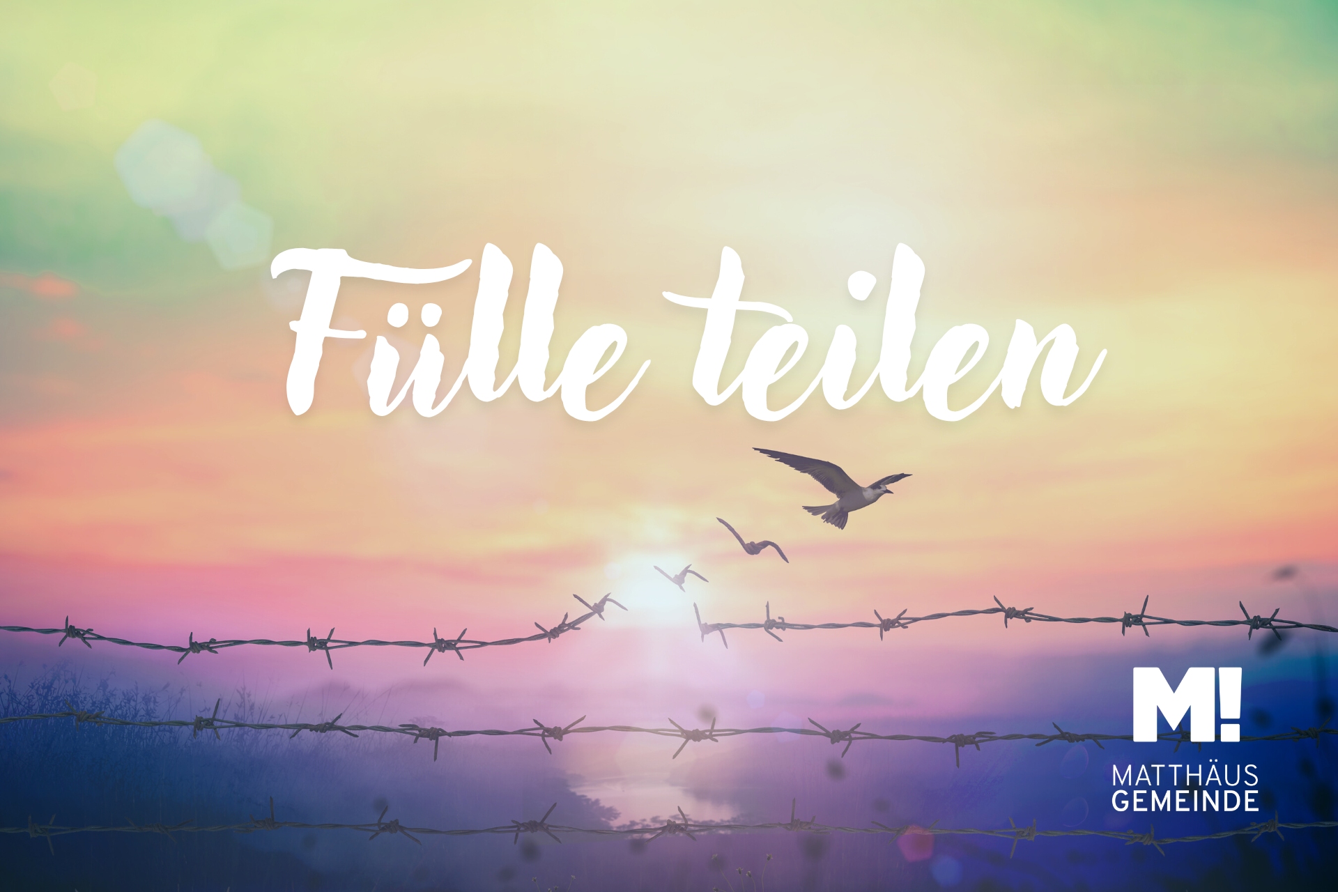 Frei sein #7 | Fülle teilen